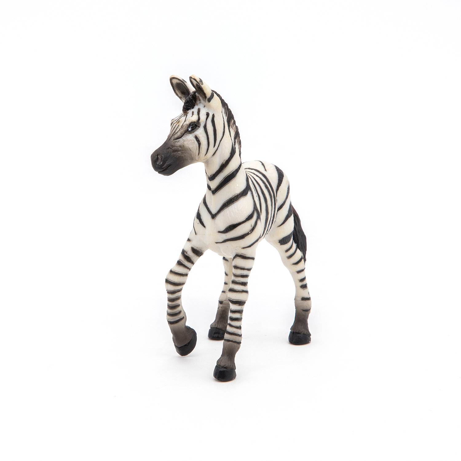 ZEBRA MLÁDĚ