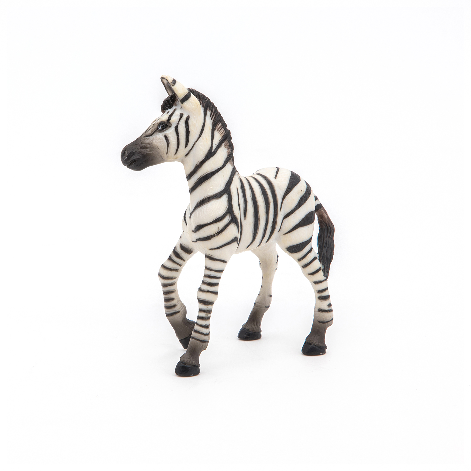 ZEBRA MLÁDĚ