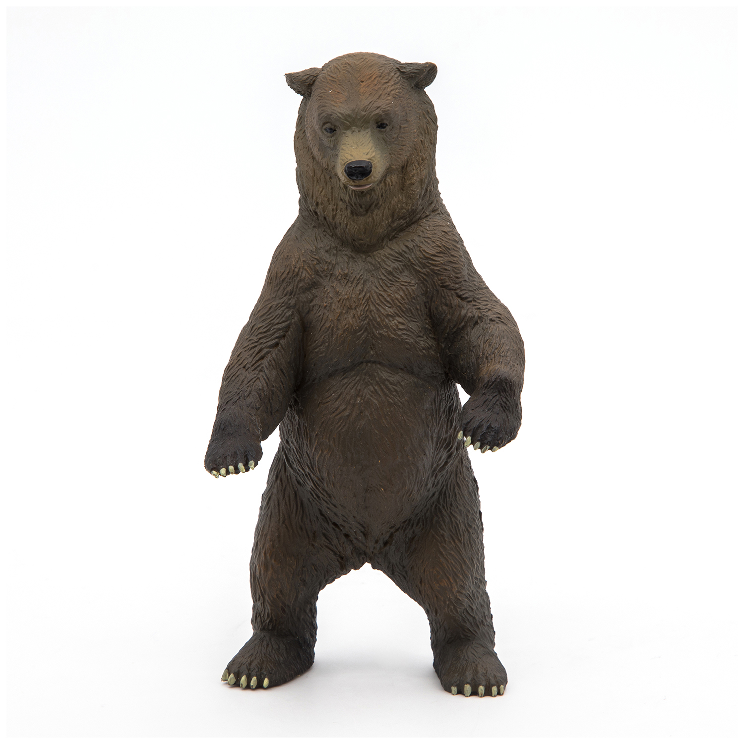 MEDVĚD GRIZZLY