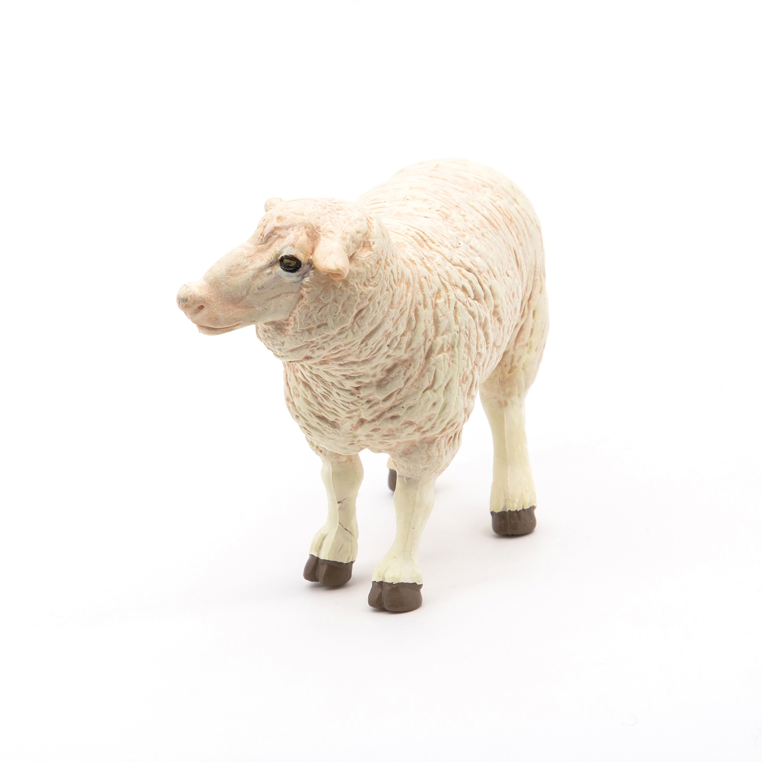 OVCE MERINOS