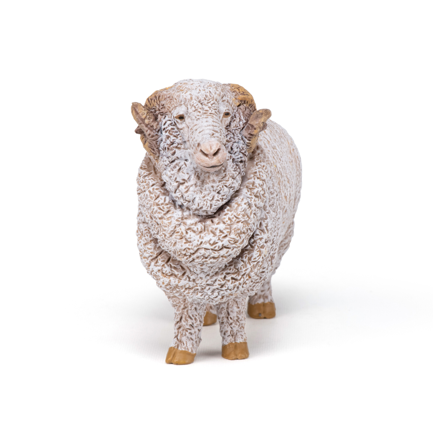 BERAN MERINO