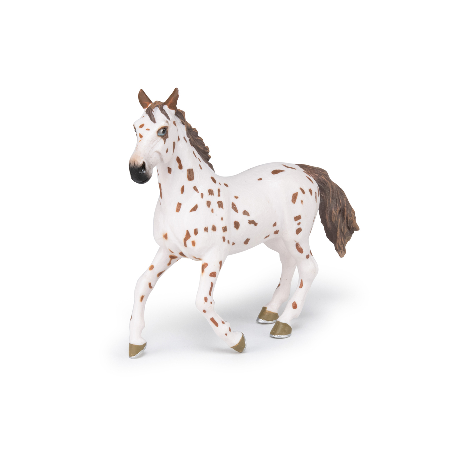 APALOOSA