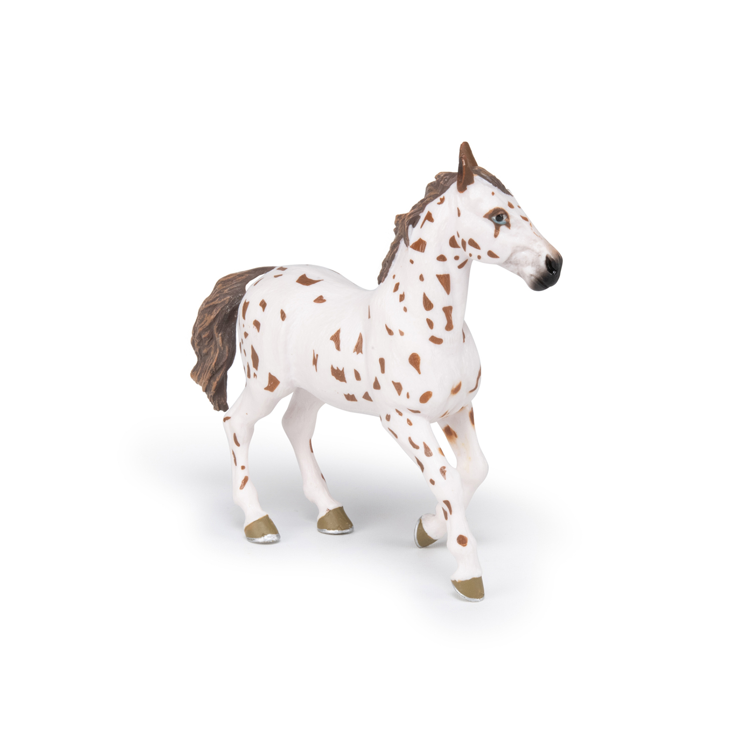APALOOSA