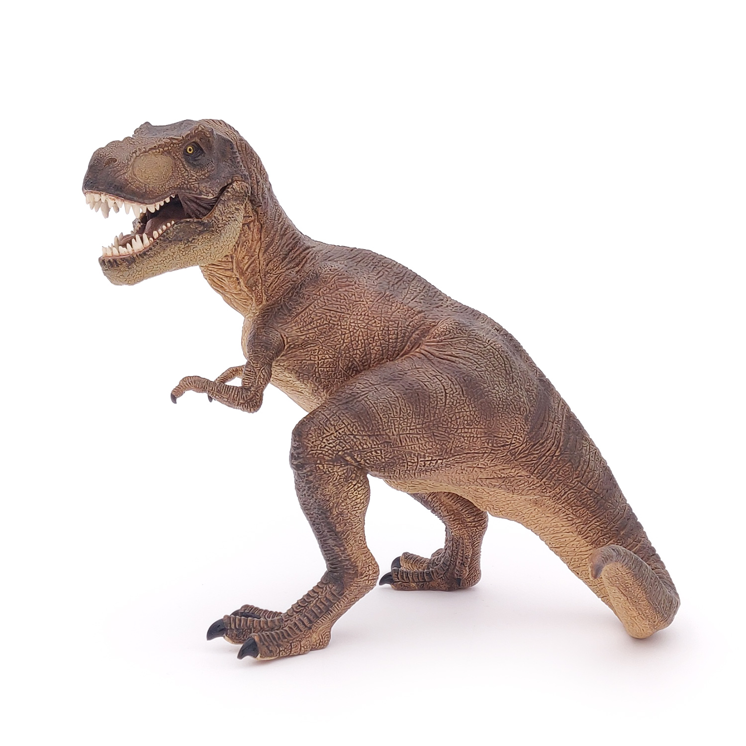 TYRANNOSAURUS