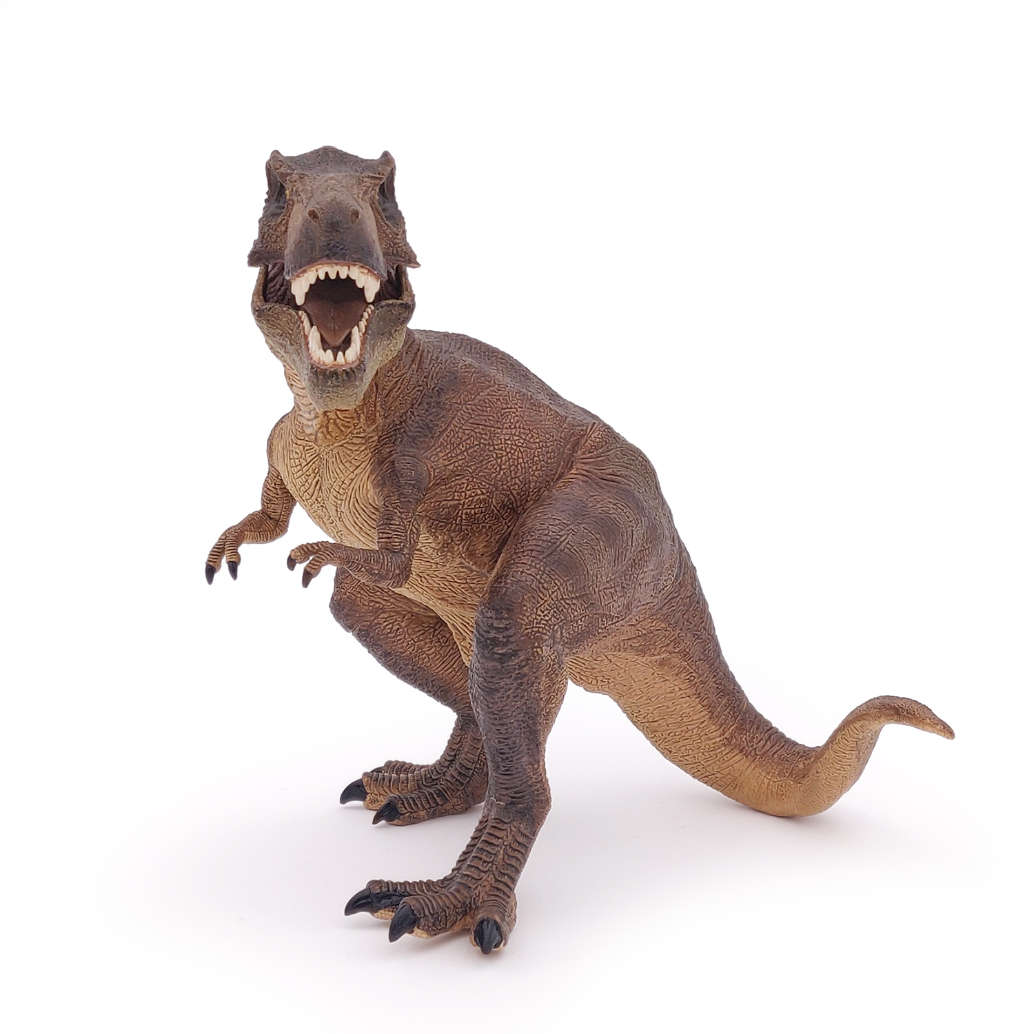 TYRANNOSAURUS