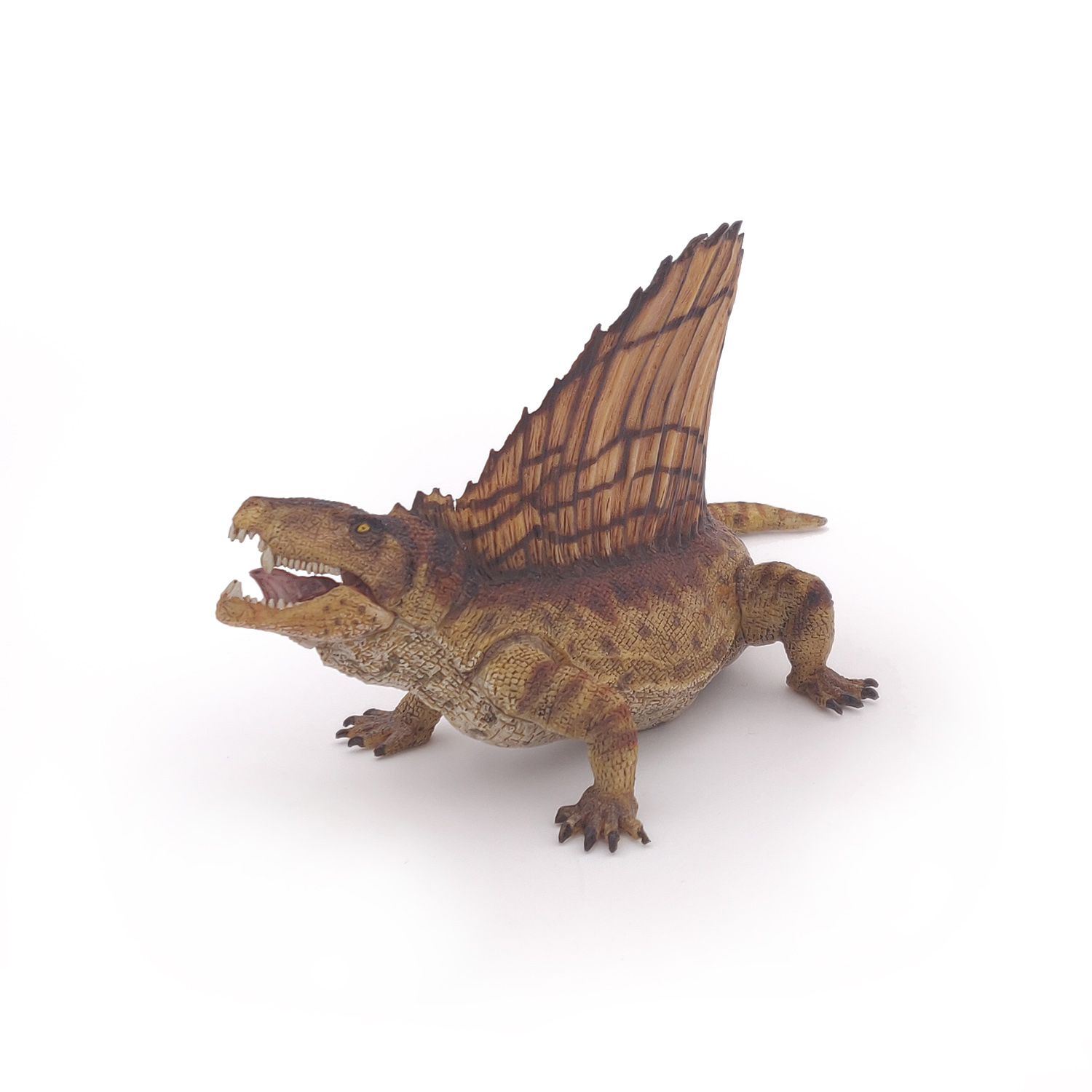 DIMETRODON
