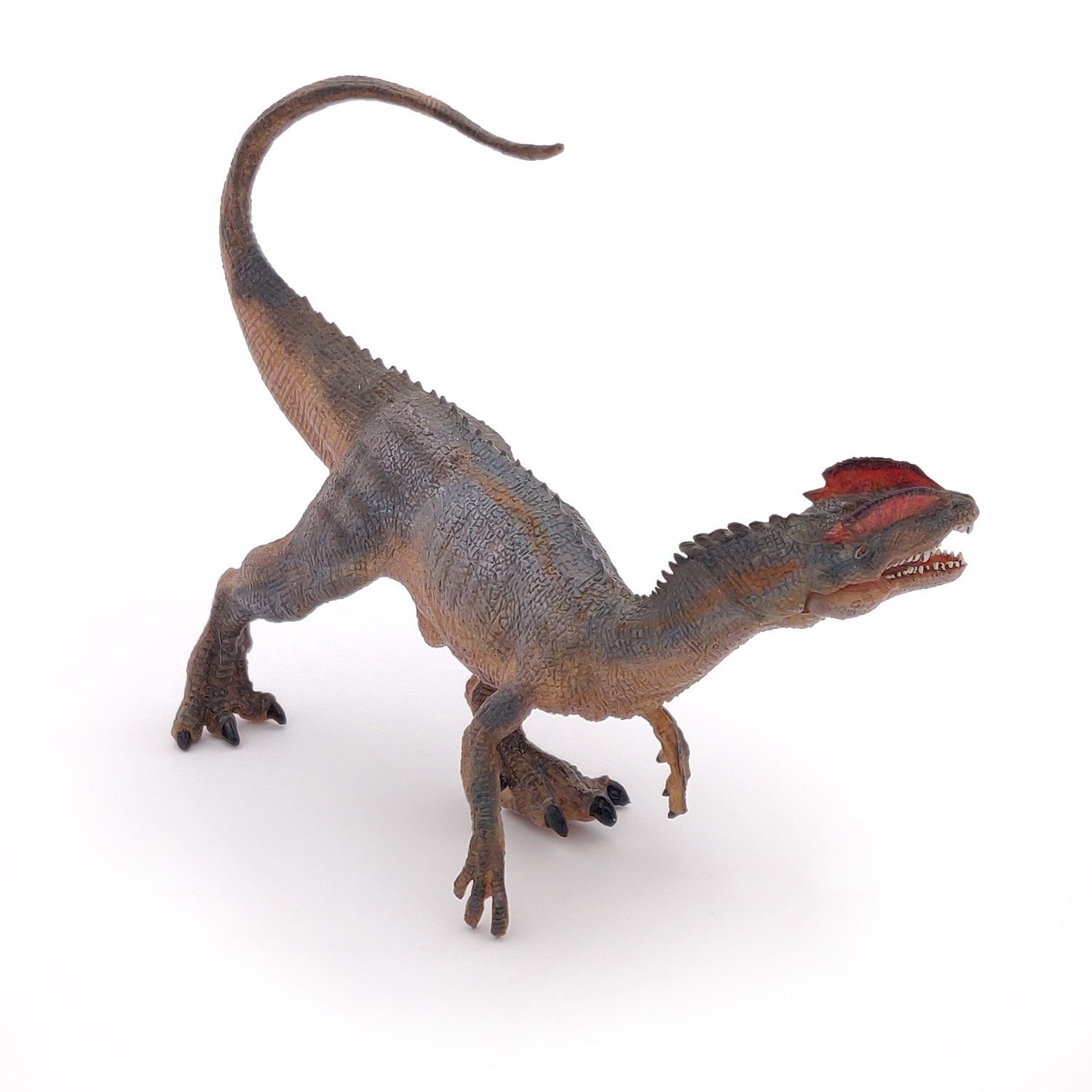 DILOPHOSAURUS