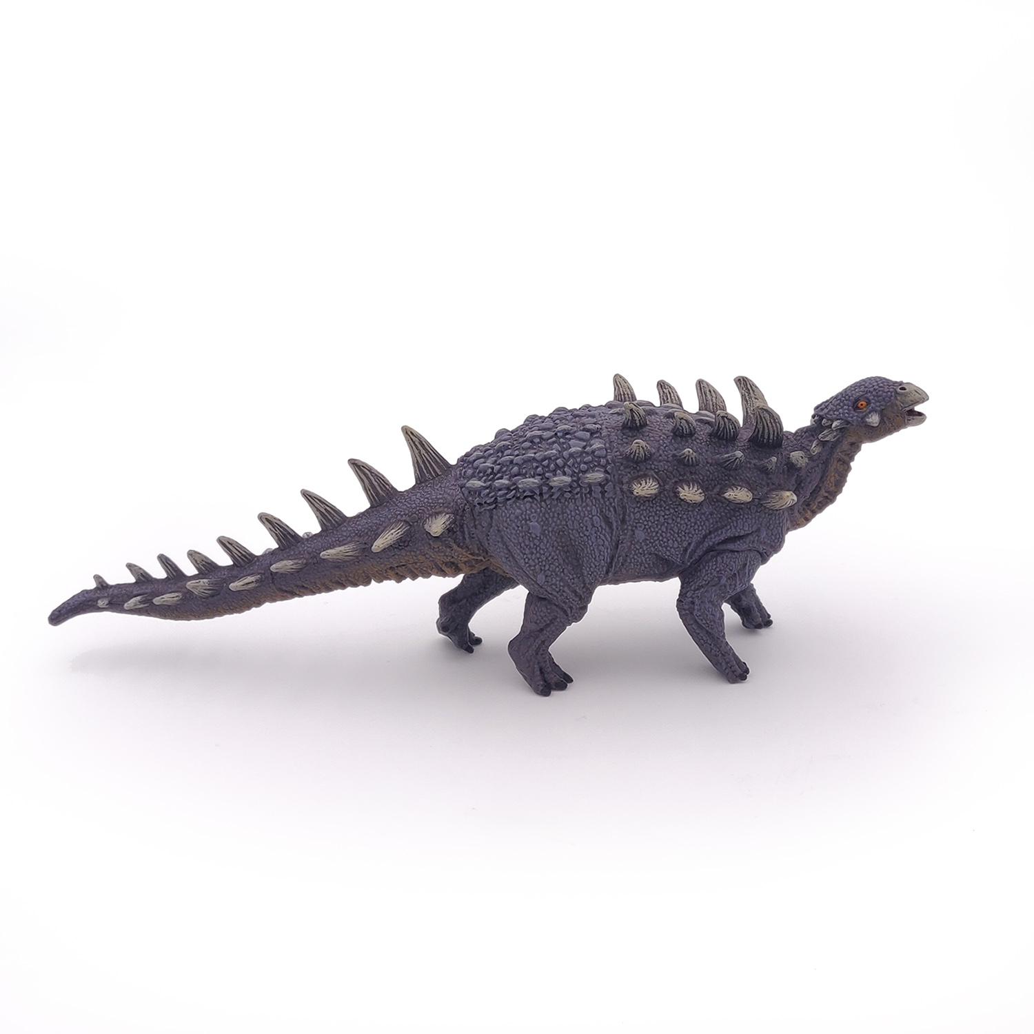 POLACANTHUS