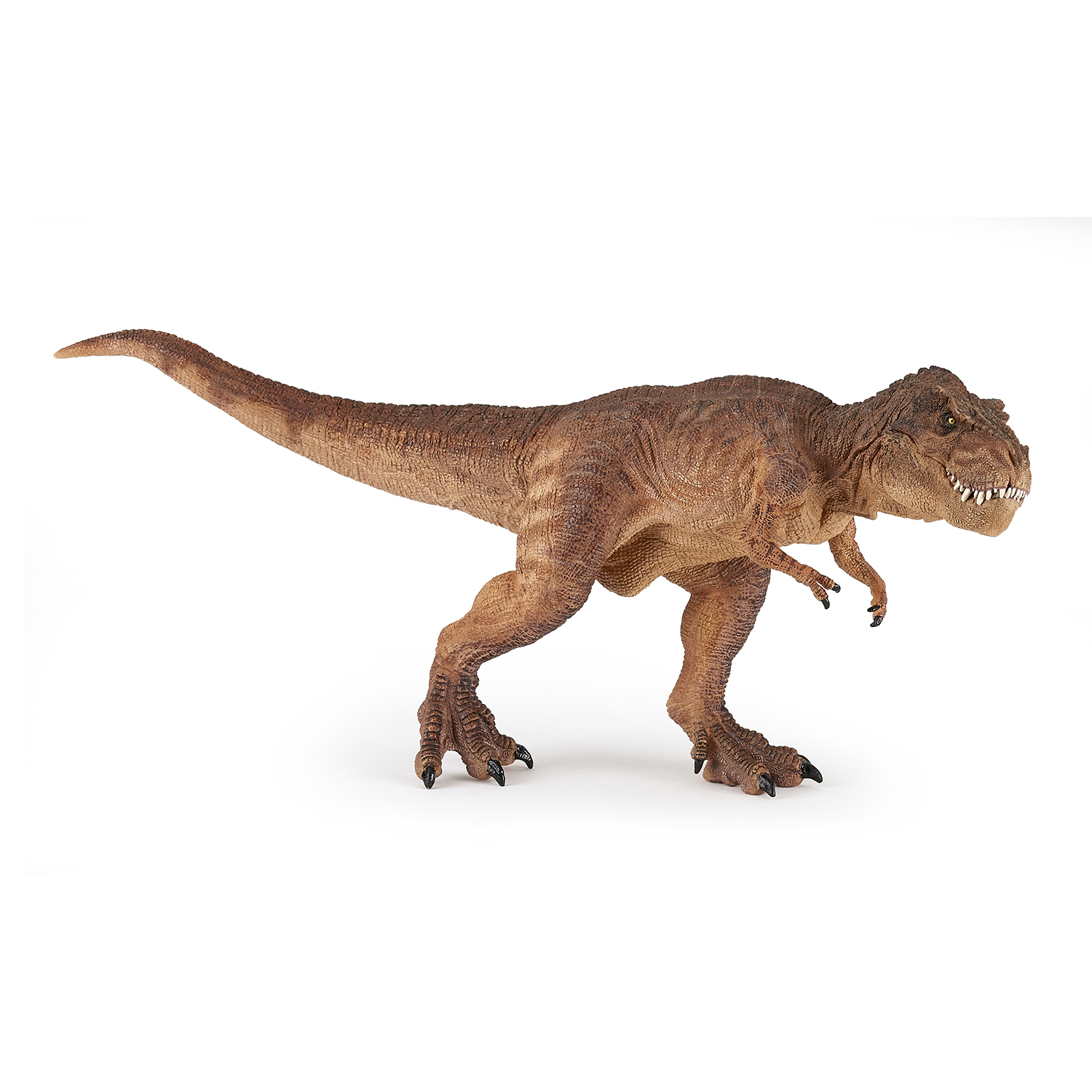 T-REX HNĚDÝ, BĚŽÍCÍ