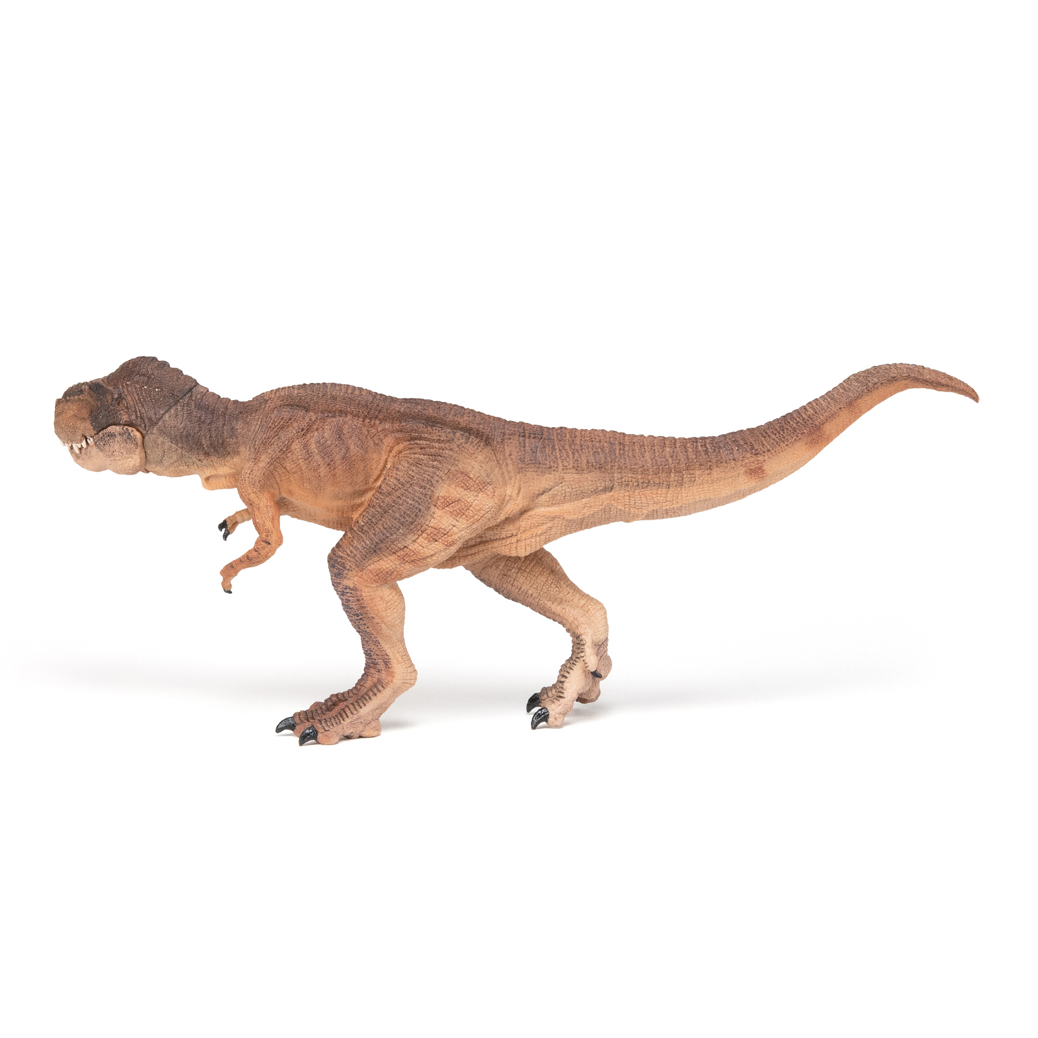T-REX HNĚDÝ, BĚŽÍCÍ