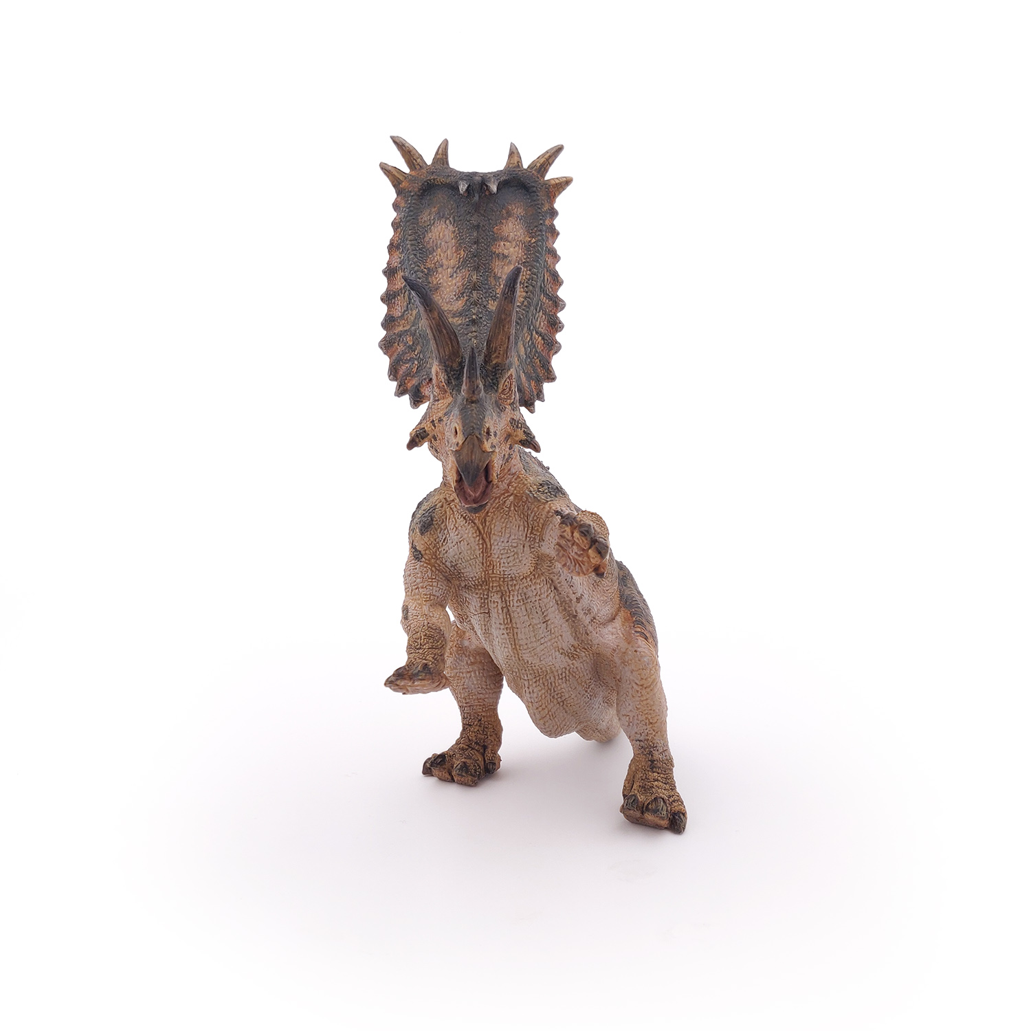 PENTACERATOPS