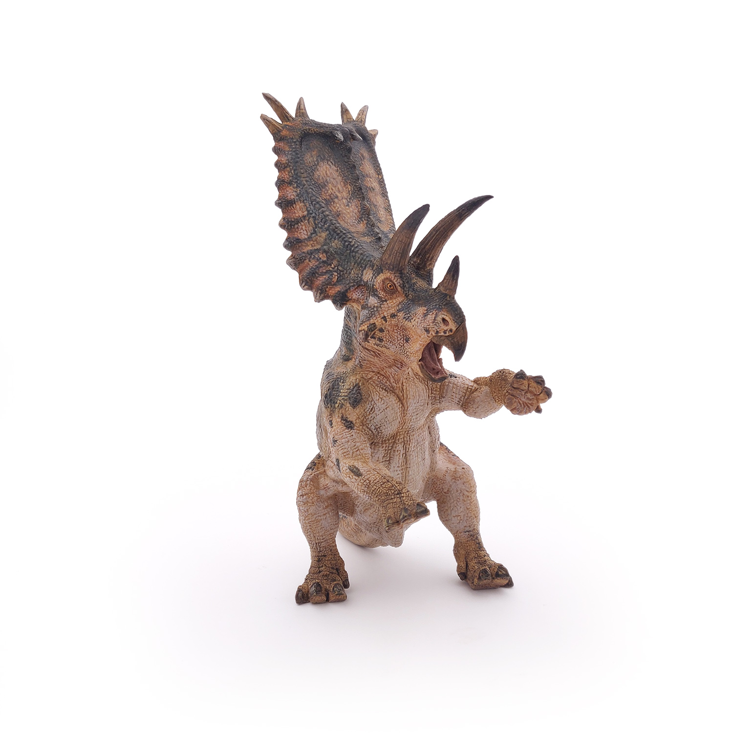 PENTACERATOPS