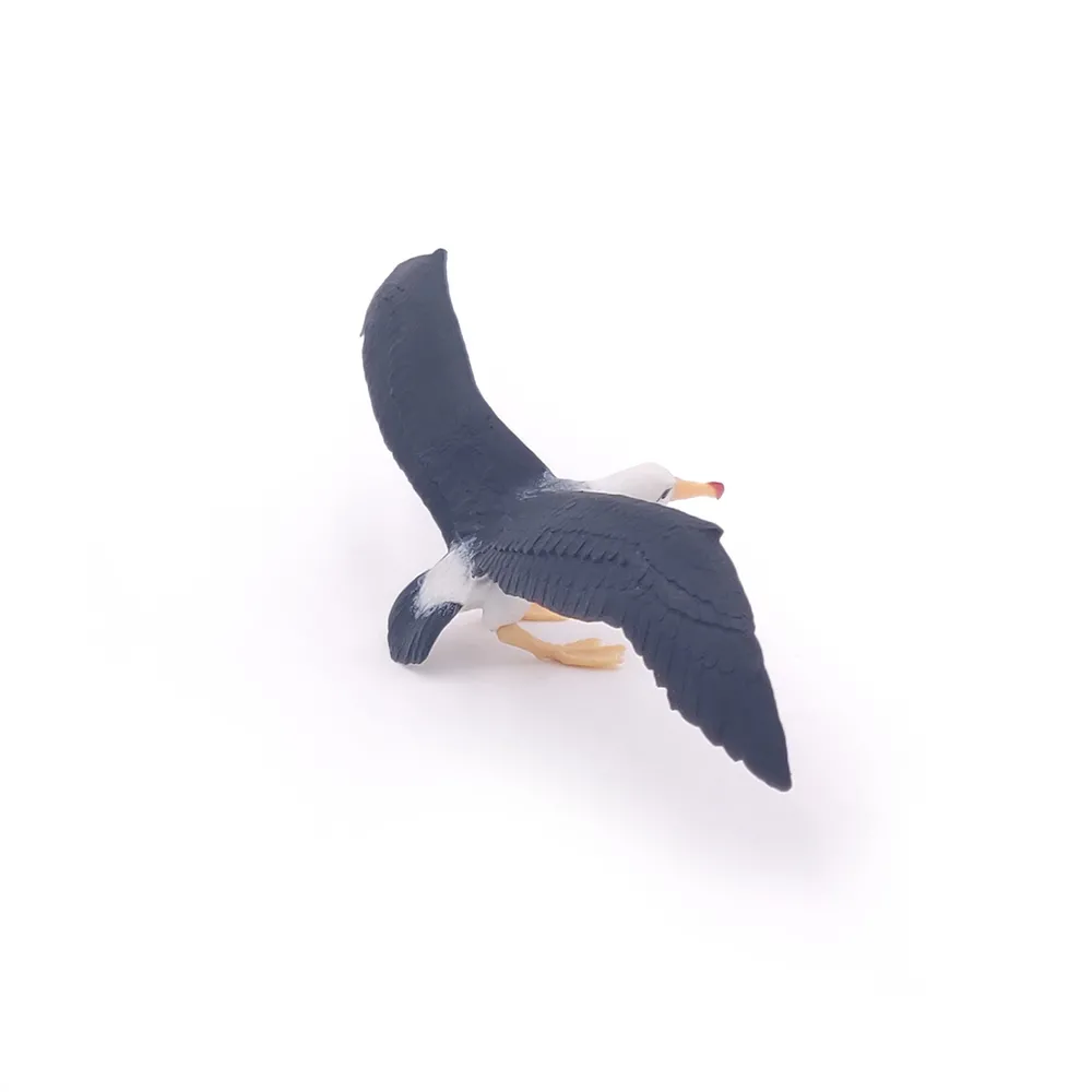 ALBATROS
