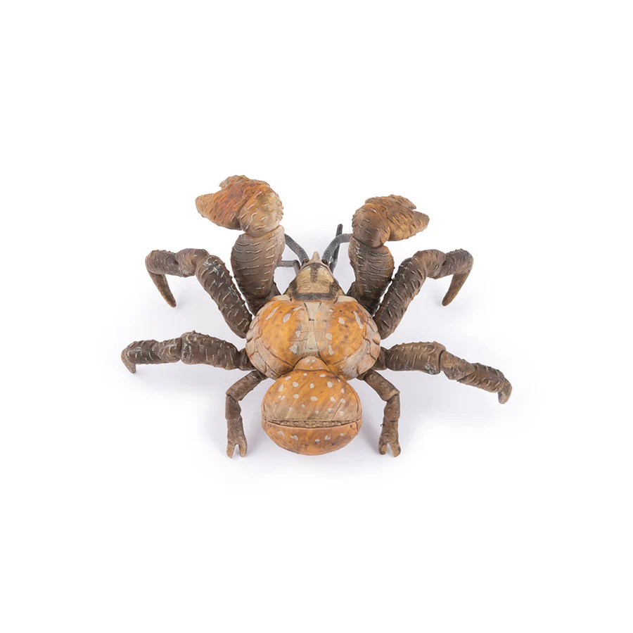 Krab palmový