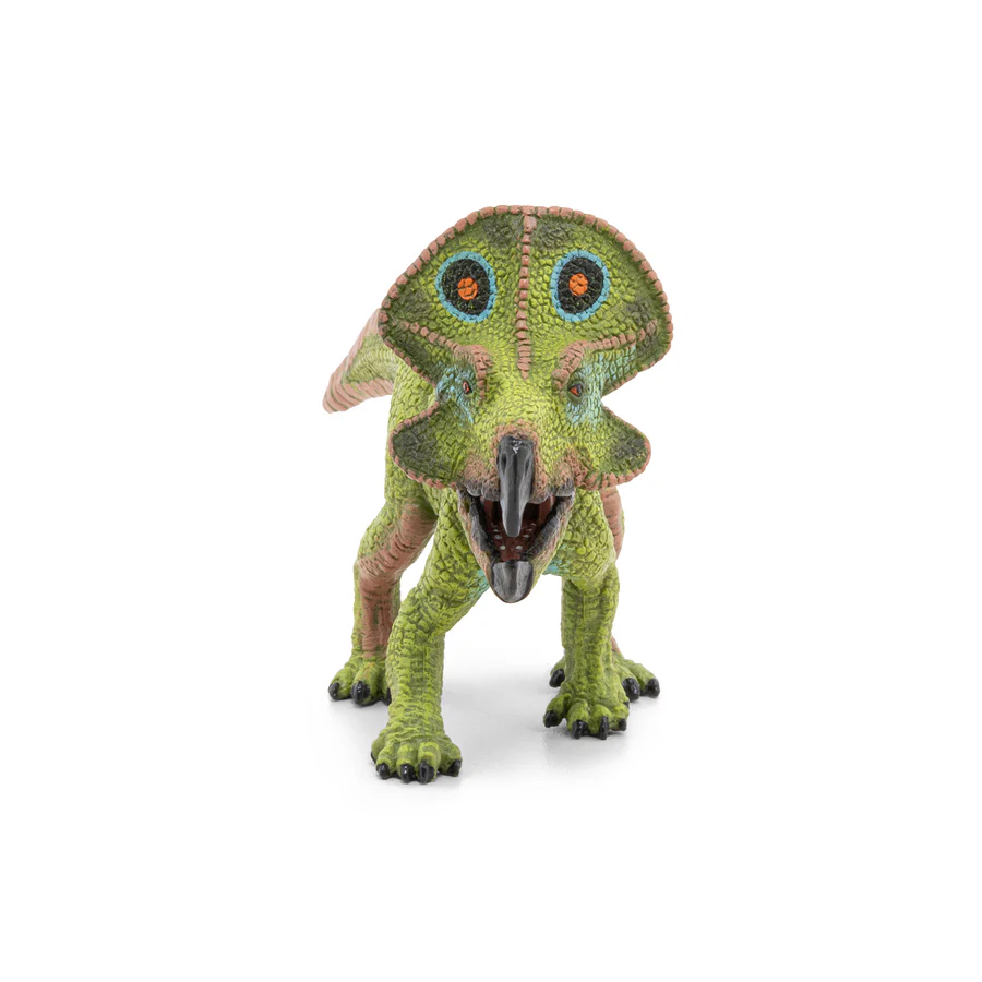 PROTOCERATOPS