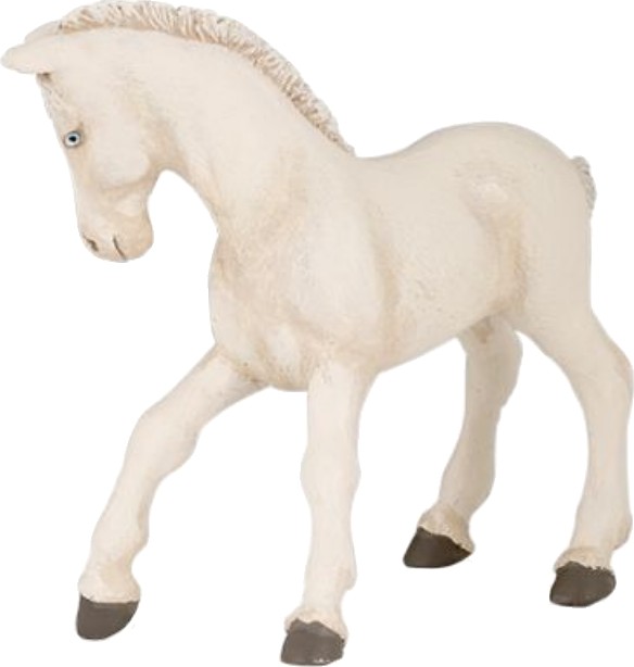 HŘÍBĚ CREMELLO