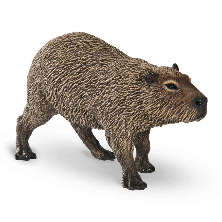 Kapybara