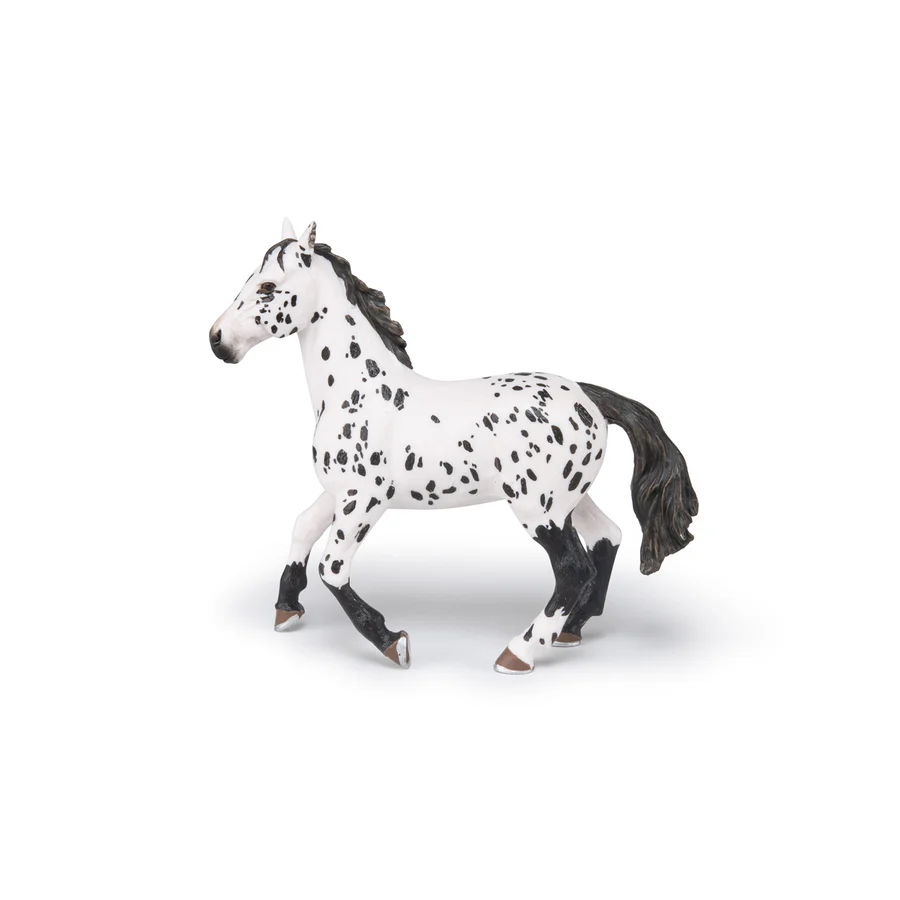APPALOOSA ČERNÝ