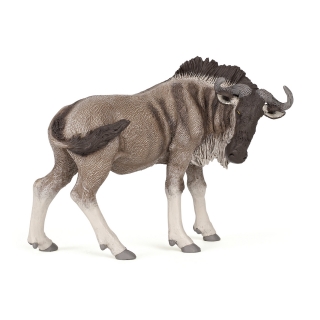 PAKŮŇ