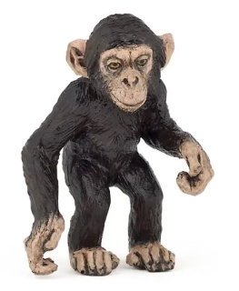 ŠIMPANZ MLÁDĚ