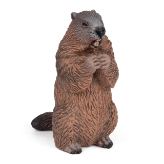 SVIŠŤ