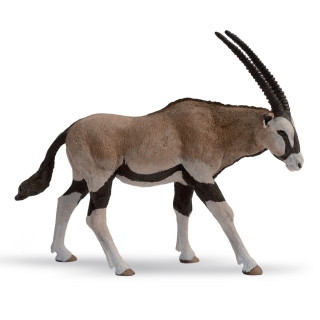 ANTILOPA ORYX