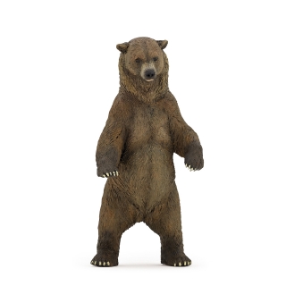 MEDVĚD GRIZZLY