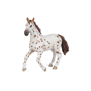 APALOOSA