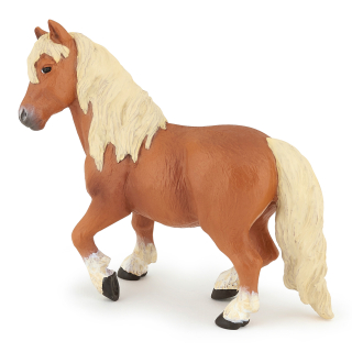 PONY SHETLANDSKÝ