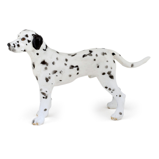 DALMATIAN