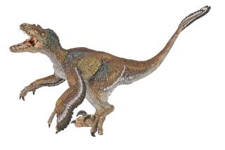 VELOCIRAPTOR