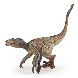 VELOCIRAPTOR MLÁDĚ