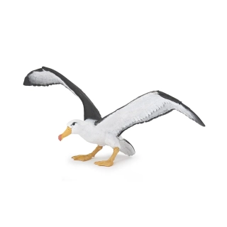 ALBATROS